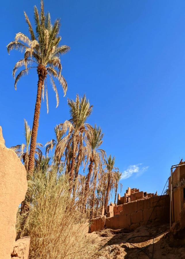 Riad Tagmadarte Ferme D'Hote Zagora Dış mekan fotoğraf