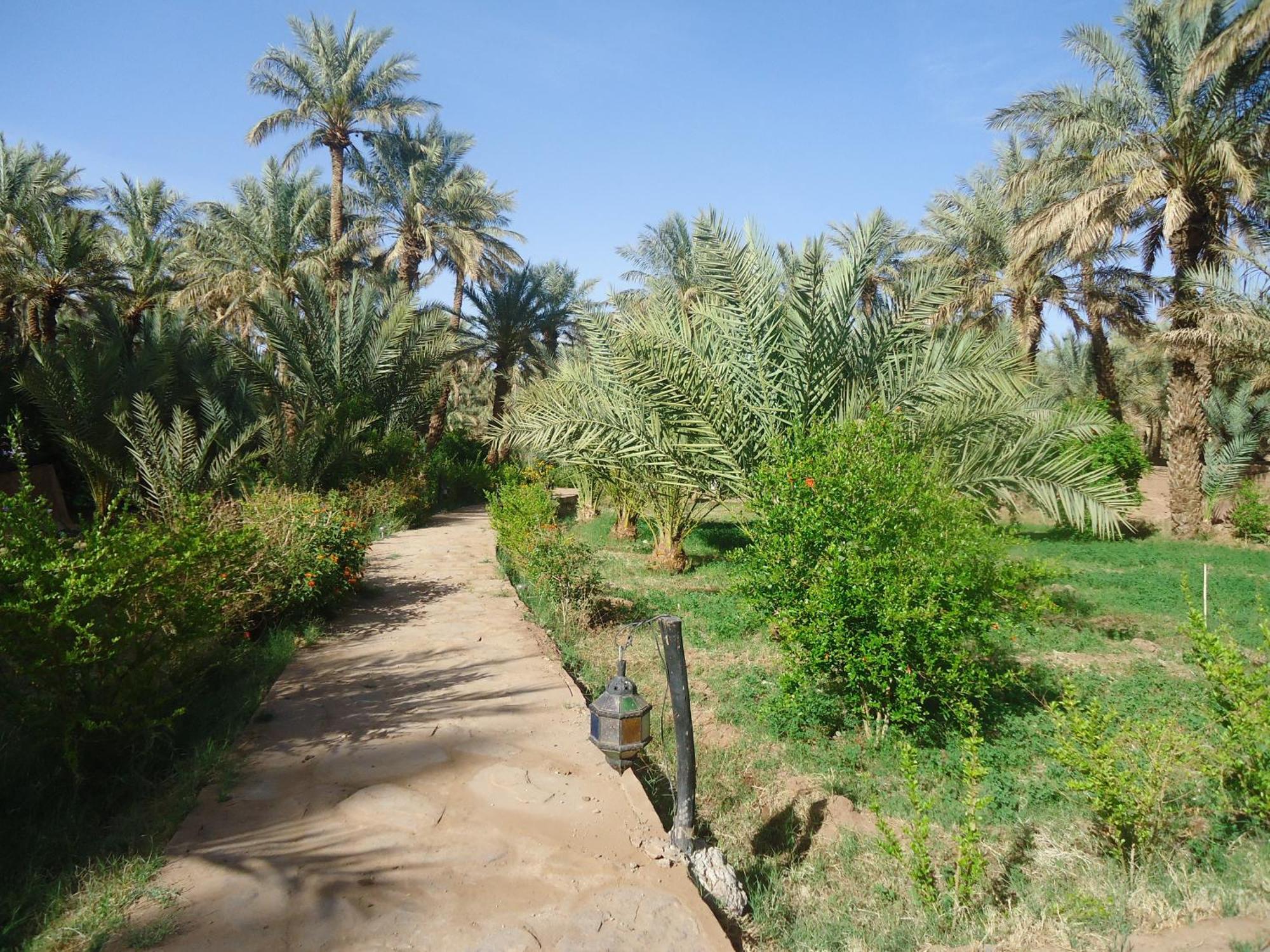 Riad Tagmadarte Ferme D'Hote Zagora Dış mekan fotoğraf