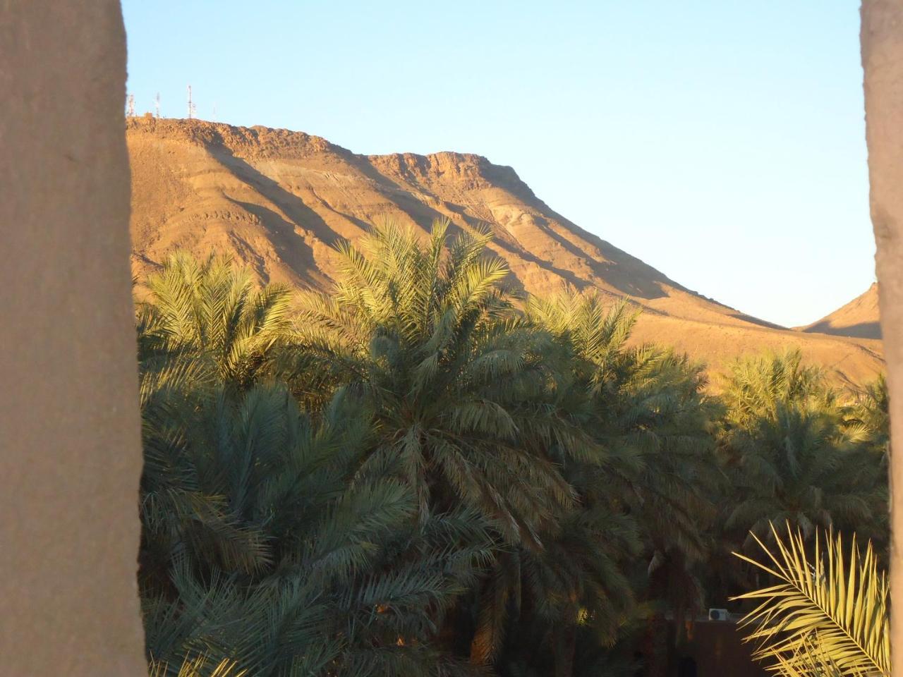 Riad Tagmadarte Ferme D'Hote Zagora Dış mekan fotoğraf