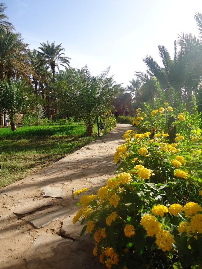 Riad Tagmadarte Ferme D'Hote Zagora Dış mekan fotoğraf
