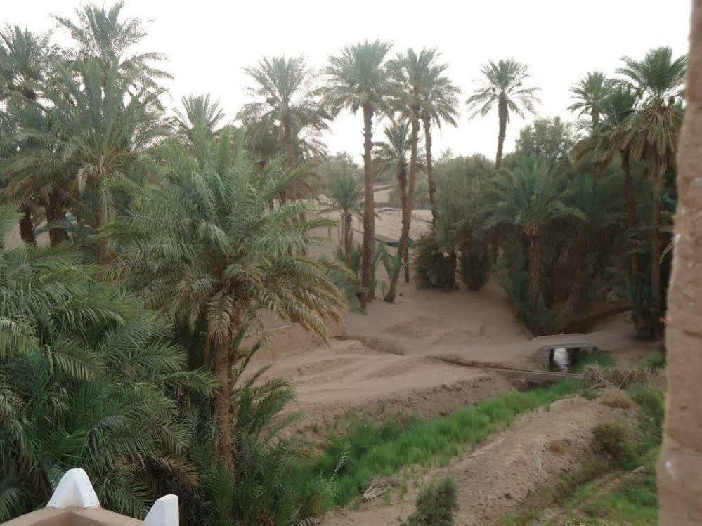 Riad Tagmadarte Ferme D'Hote Zagora Dış mekan fotoğraf