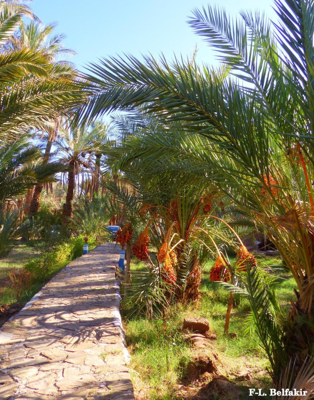 Riad Tagmadarte Ferme D'Hote Zagora Dış mekan fotoğraf
