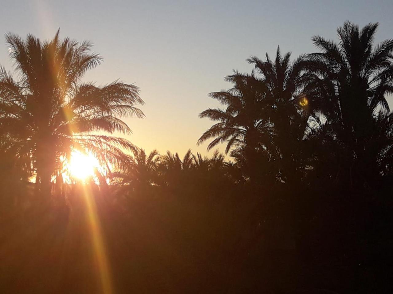 Riad Tagmadarte Ferme D'Hote Zagora Dış mekan fotoğraf